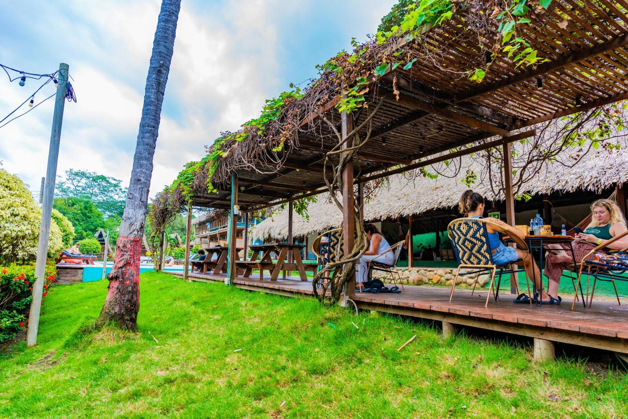 Tiki Hut Hostel Palomino Exterior foto